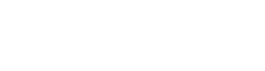 deepseek